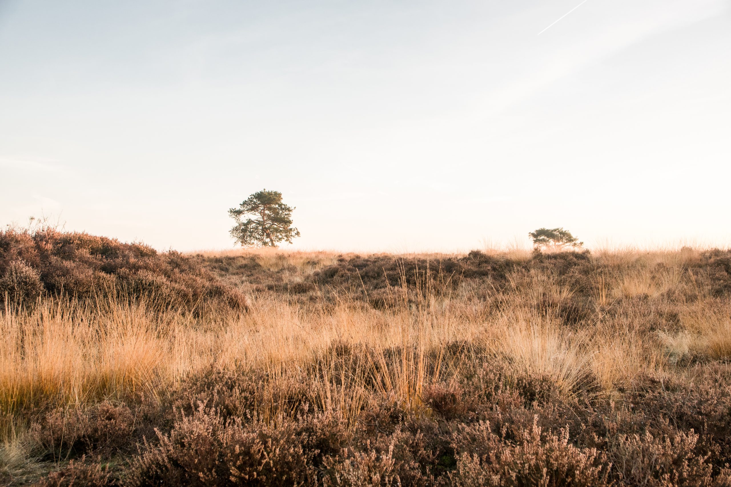  Vrouwencursusweken 2026 